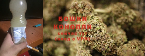 PSILOCYBIN Бугульма