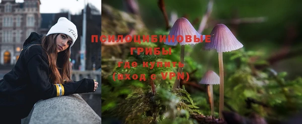 ПСИЛОЦИБИНОВЫЕ ГРИБЫ Бронницы