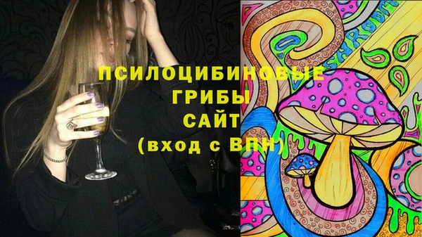 PSILOCYBIN Бугульма