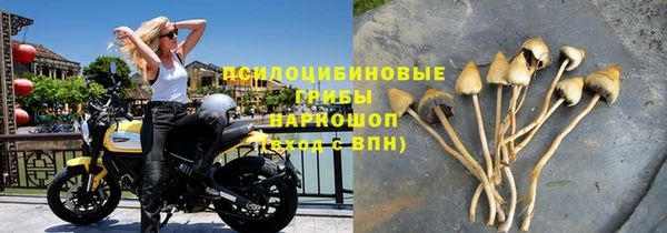 PSILOCYBIN Бугульма