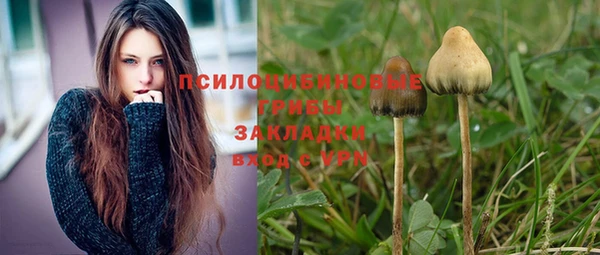 ПСИЛОЦИБИНОВЫЕ ГРИБЫ Бронницы