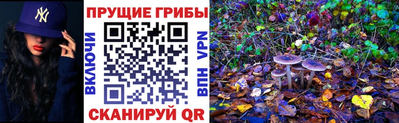 Псилоцибиновые грибы мухоморы  Мурино 